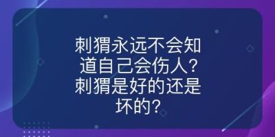 刺猬永远不会知道自己会伤人?刺猬是好的还是坏的?