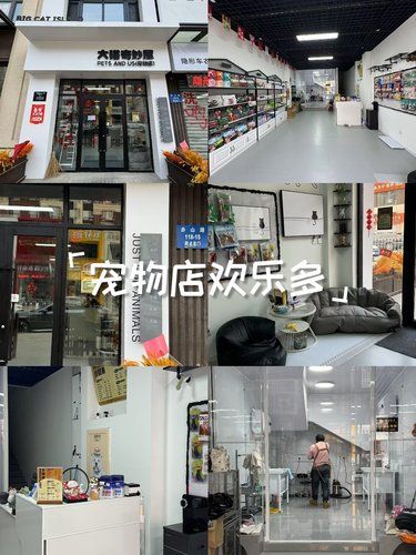 专业宠物洗护享受时光