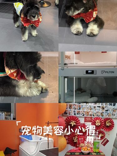快乐宠物家