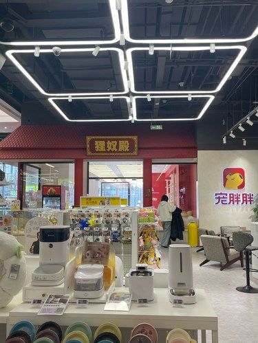 猫星人的小决斗
