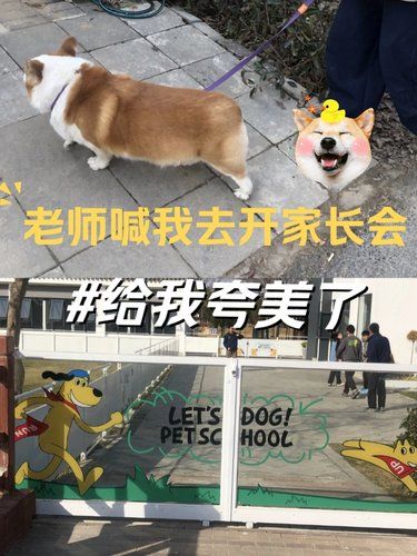 老师夸TA超级乖 当妈的心里美滋滋❤