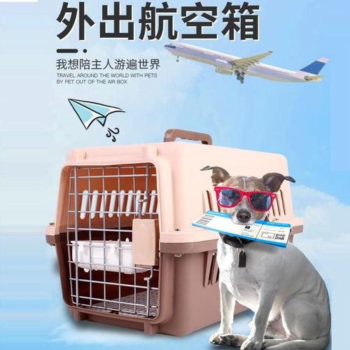 宠物路运：如何安全、便捷地运输宠物？宠物路运公司排行榜