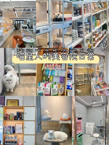 宠物内卷程度已经到下一个level