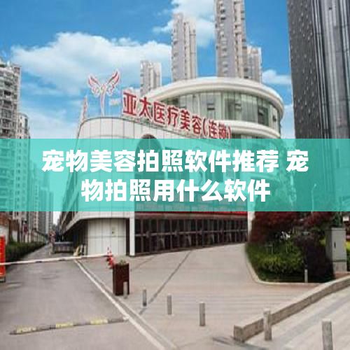 宠物美容拍照软件推荐 宠物拍照用什么软件