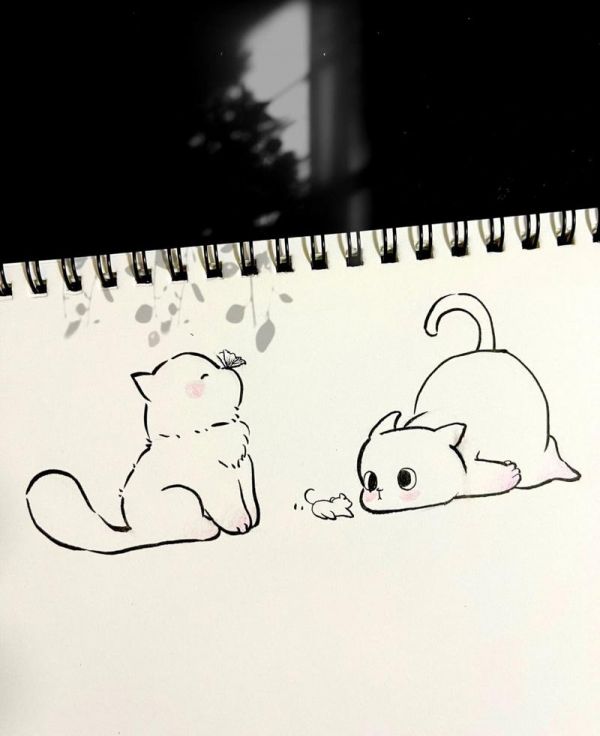 敲可爱猫咪简笔画|被可爱治愈了|内附细节 想做你枕边书怀中猫心上
