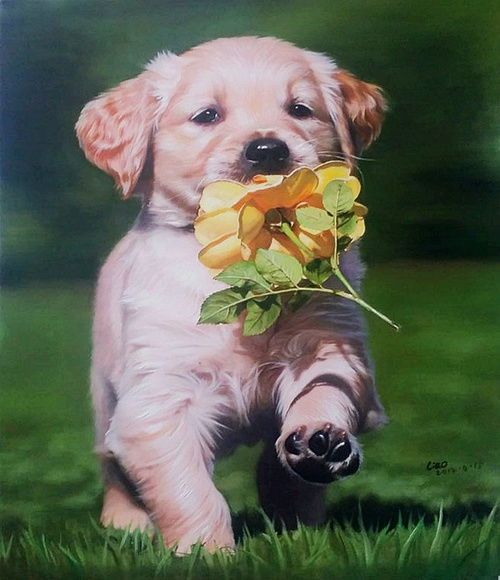 宠物油画：如何为你的宠物画一幅完美的油画？宠物油画画家推荐排行榜