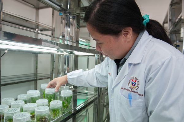 广东宠物烘焙学校，培育宠物烘焙人才的摇篮