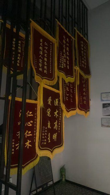 感谢医生的每一天