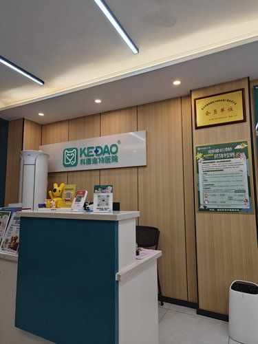 带猫打疫苗，真是一场“大冒险”