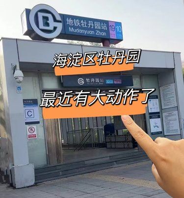 牡丹园最近支楞起来了！？