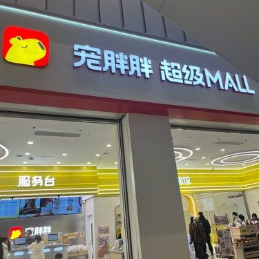 撸猫宝藏店铺分享！！