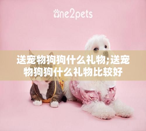 送宠物狗狗什么礼物;送宠物狗狗什么礼物比较好