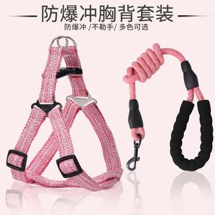 宠物用品亚马逊新款狗粮桶密封桶宠物储粮桶送刻度杯 猫粮桶批发详情4