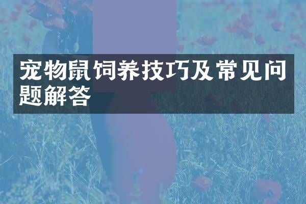 宠物鼠饲养技巧及常见问题解答