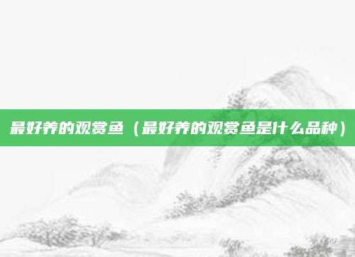 最好养的观赏鱼（最好养的观赏鱼是什么品种）