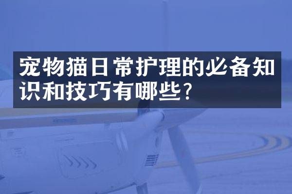 宠物猫日常护理的必备知识和技巧有哪些？