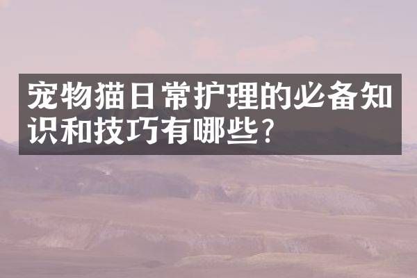 宠物猫日常护理的必备知识和技巧有哪些？