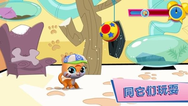 小小宠物园