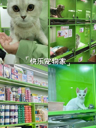 快乐宠物家～