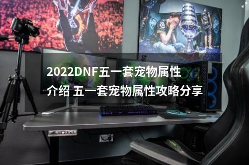 2022DNF五一套宠物属性介绍 五一套宠物属性攻略分享-第1张-关于游戏-拼搏