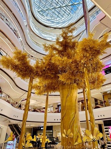 15米发财树！接接接喽！！