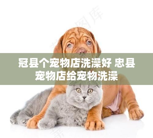 冠县个宠物店洗澡好 忠县宠物店给宠物洗澡