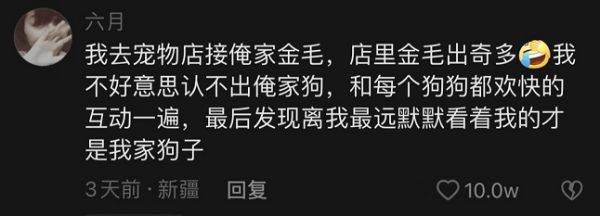 狗子去宠物店洗澡后回家后，总是臭着脸，老公回来一看：你…接错狗了