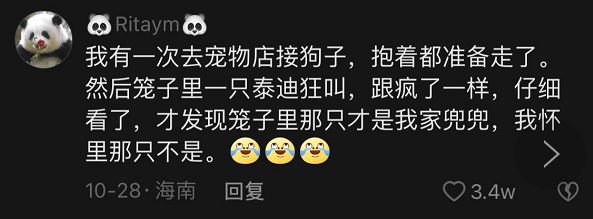 狗子去宠物店洗澡后回家后，总是臭着脸，老公回来一看：你…接错狗了