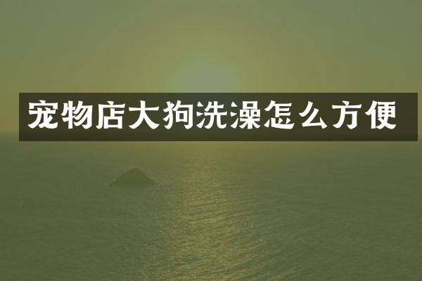 宠物店大狗洗澡怎么方便