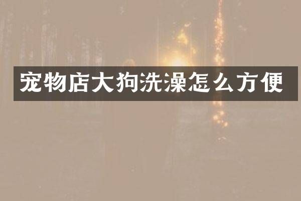 宠物店大狗洗澡怎么方便