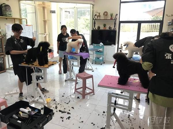 教学现场