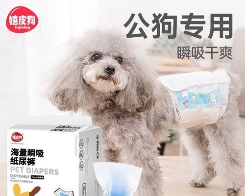 祛除狗狗尿喂的方法（宠物主人必看）