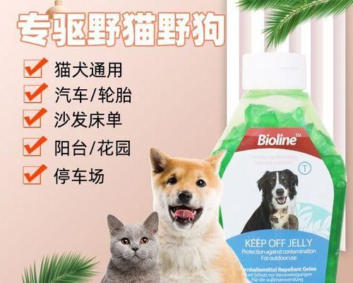 成年猫咪乱尿（以宠物为主）
