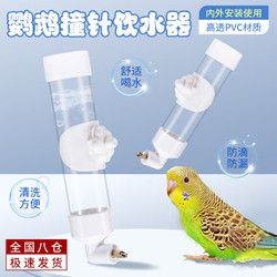 惗优品 宠物鹦鹉撞针饮水器自动喂水器牡丹水壶玄风鸟用品仓鼠虎皮 中小号撞针饮水机