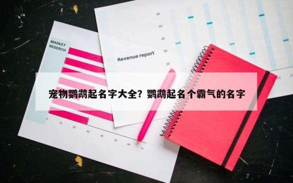 宠物鹦鹉起名字大全？鹦鹉起名个霸气的名字
