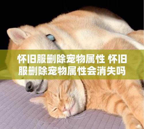 怀旧服删除宠物属性 怀旧服删除宠物属性会消失吗