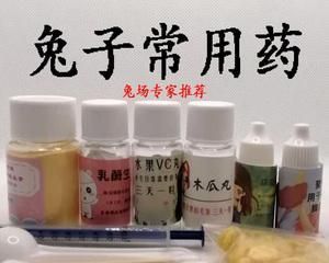 小狗误食药品后该怎么办（宠物药品安全使用）
