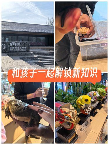 一场奇妙的冷血之旅