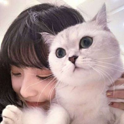 女头带宠物