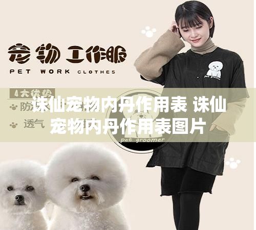 诛仙宠物内丹作用表 诛仙宠物内丹作用表图片