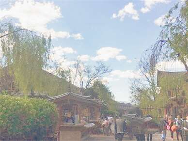 带狗狗去云南旅游攻略及方便程度