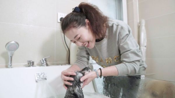 周海媚亲自给狗狗做SPA、洗泡泡浴,超豪华浴缸让人羡慕