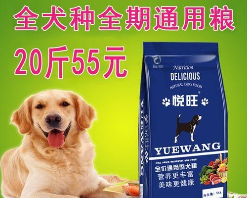 金毛VS德牧，谁更适合作为宠物？（深入比较两种犬种的优缺点，帮助你做出明智的选择）