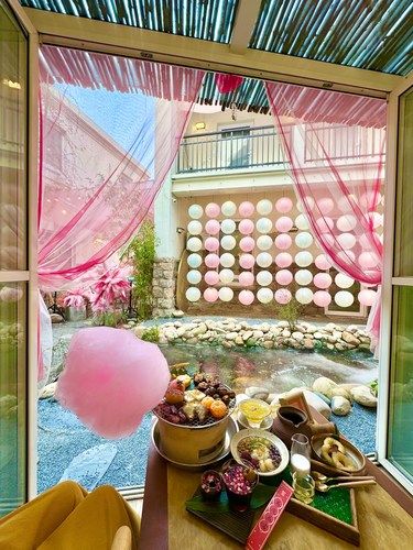 青岛南枝小馆～蛇年新皮肤！！！