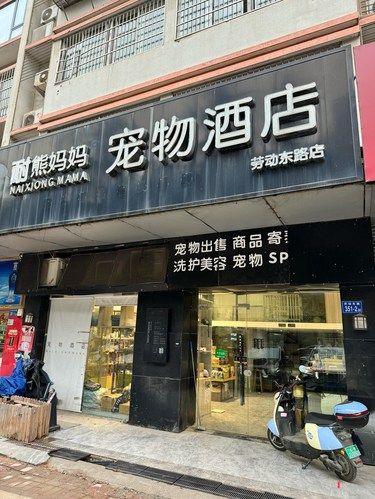 宠物美容专家来啦