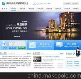 供应专业宠物玩具网站建设
