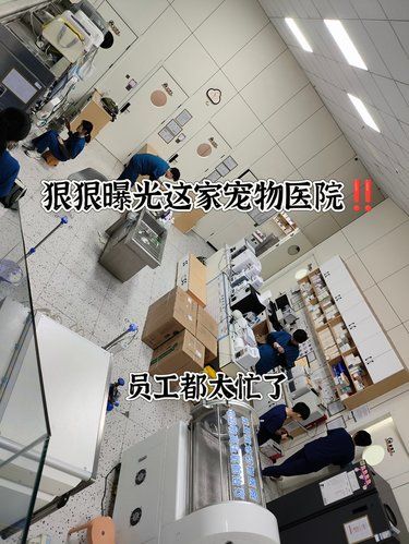 在青岛，真想狠狠曝光一下它家[捂脸]