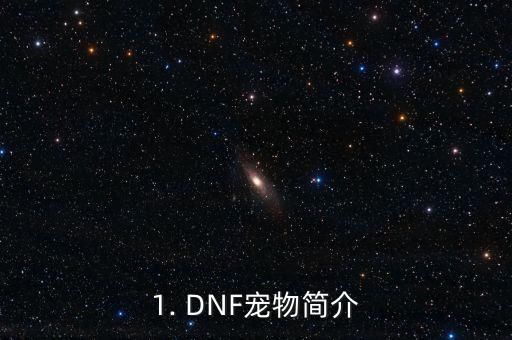 1. DNF宠物简介