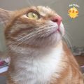 https://p1.meituan.net/userheadpicbackend/ec8015eff4cb5da94cb20ef520e020bf116475.jpg%40120w_120h_1e_1c_1l%7Cwatermark%3D0