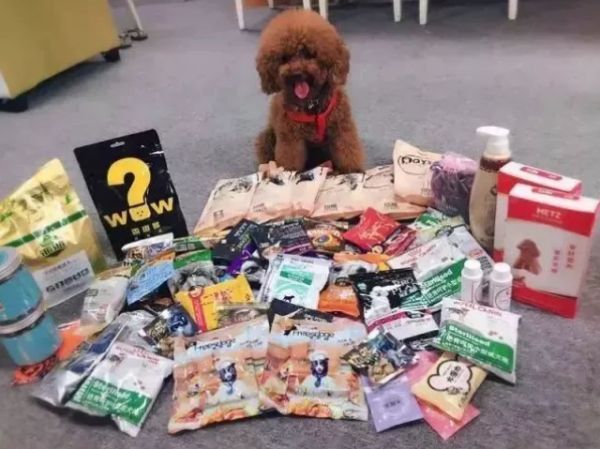 太原宠物展